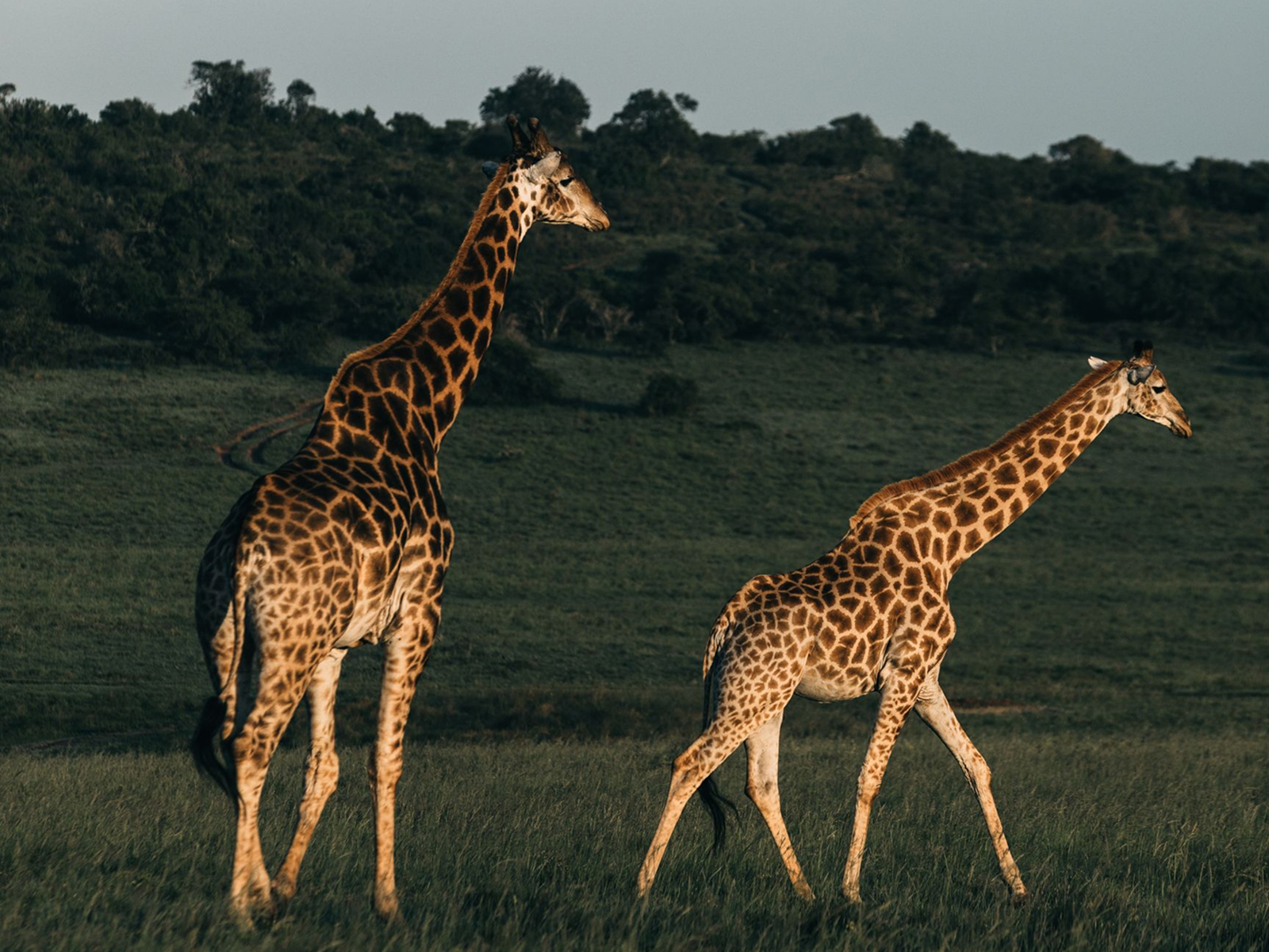 RIFT VALLEY & MARA in Kenya