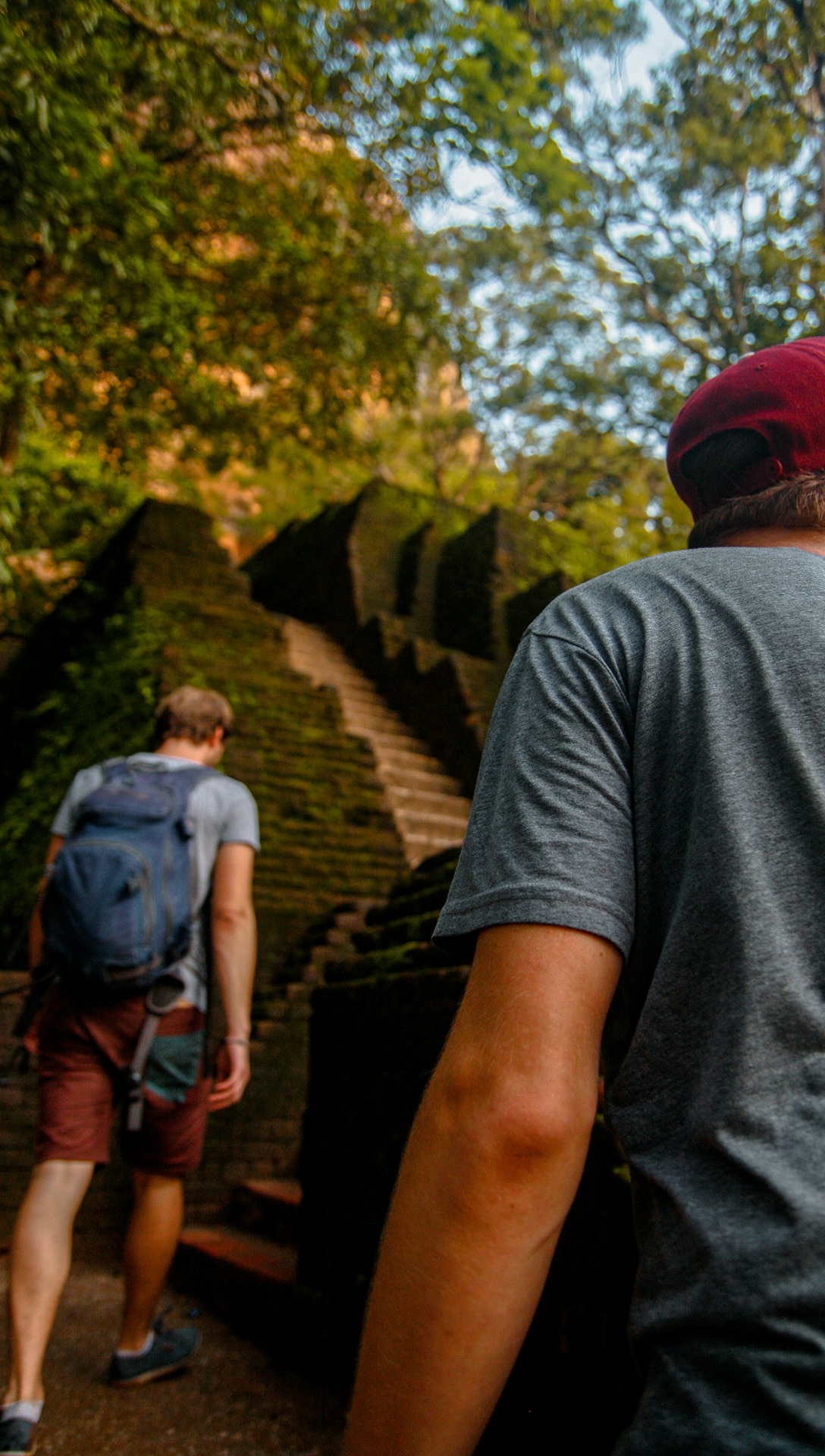 Visitors exploring a forest trail in Sri Lanka